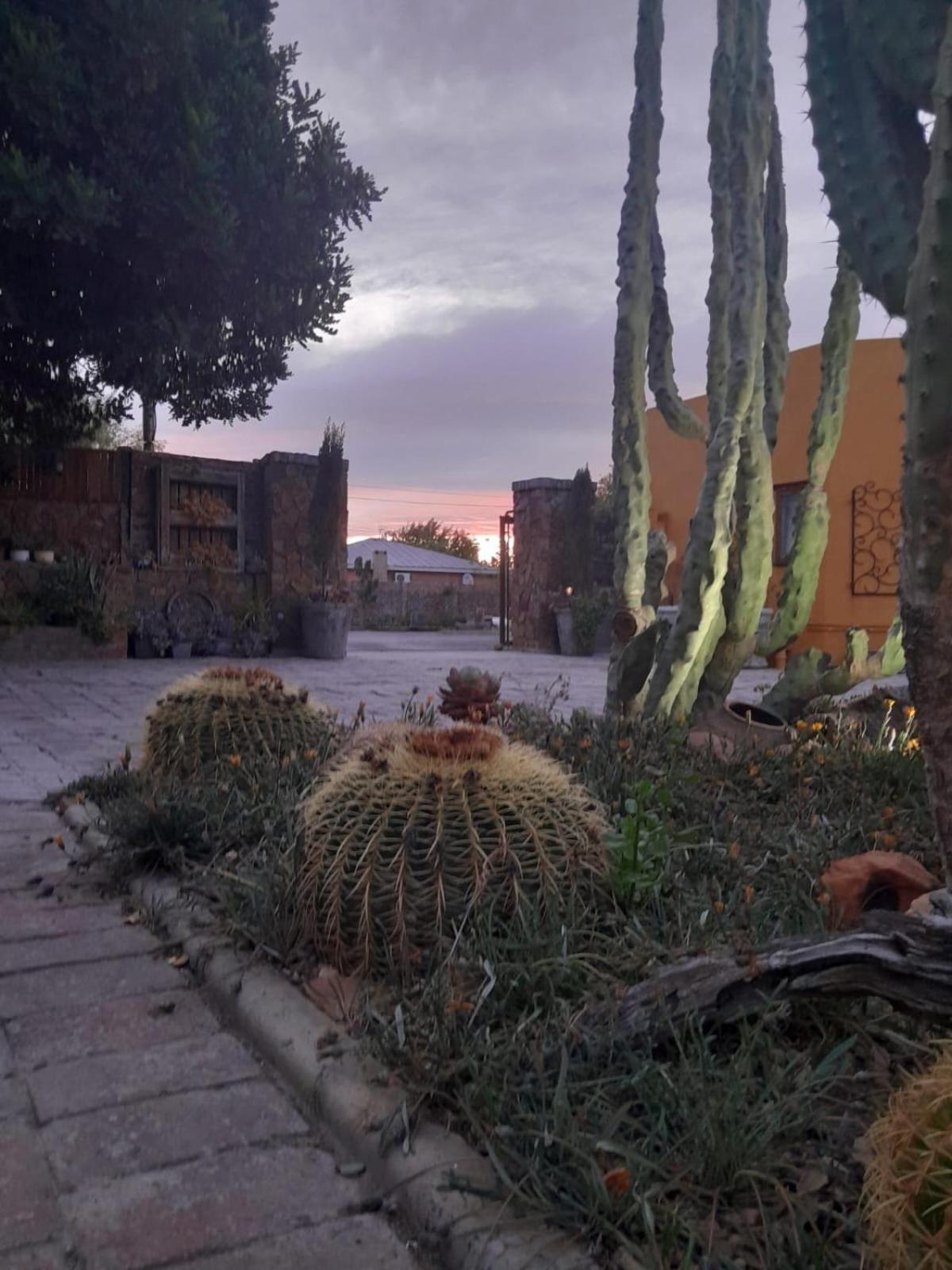 Villa Contessa Beaufort West Exteriör bild