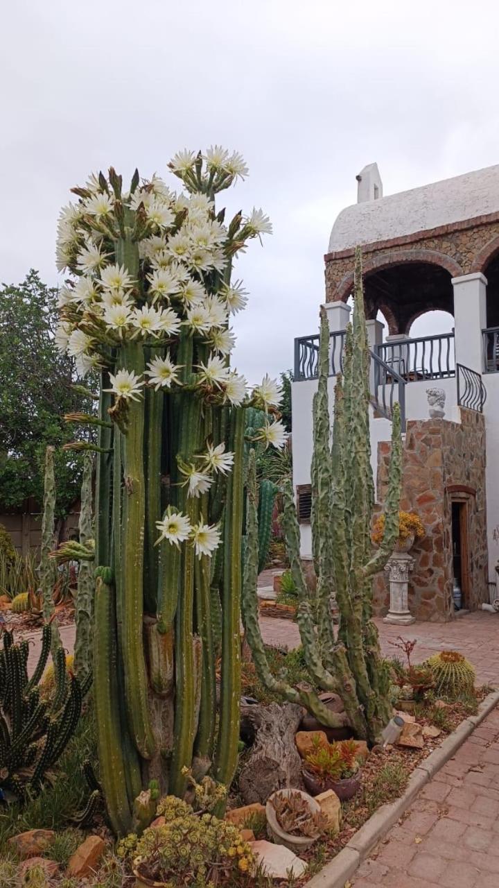Villa Contessa Beaufort West Exteriör bild